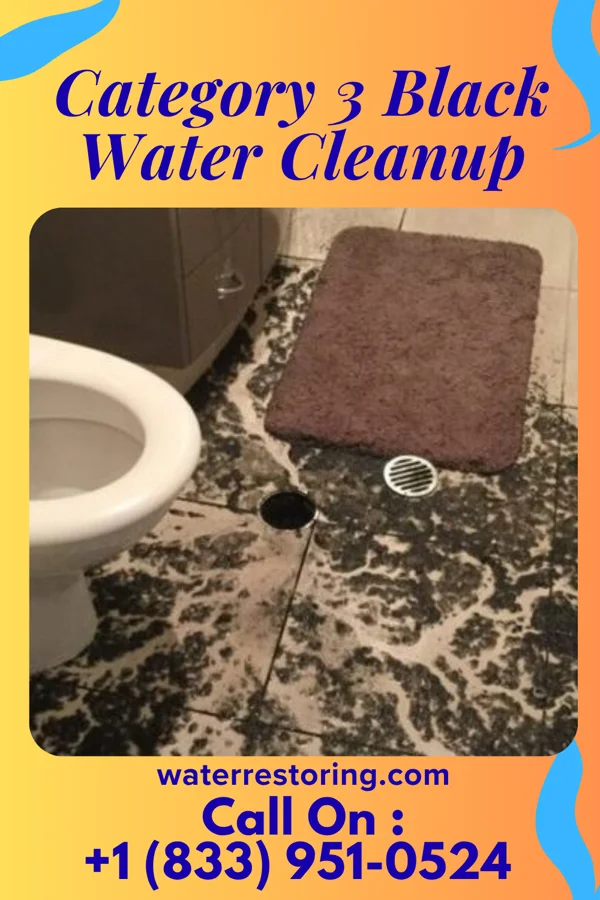 Category 3 Black Water Cleanup in Lucerne, WY